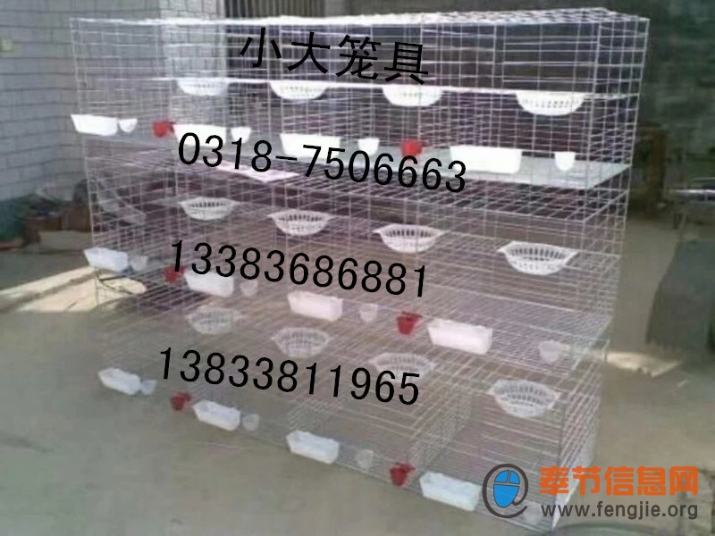 出售鸽子笼 兔子笼 鸡笼 鸟笼 狗笼 鹌鹑笼 运输笼 运输筐 养殖设备 养殖笼具